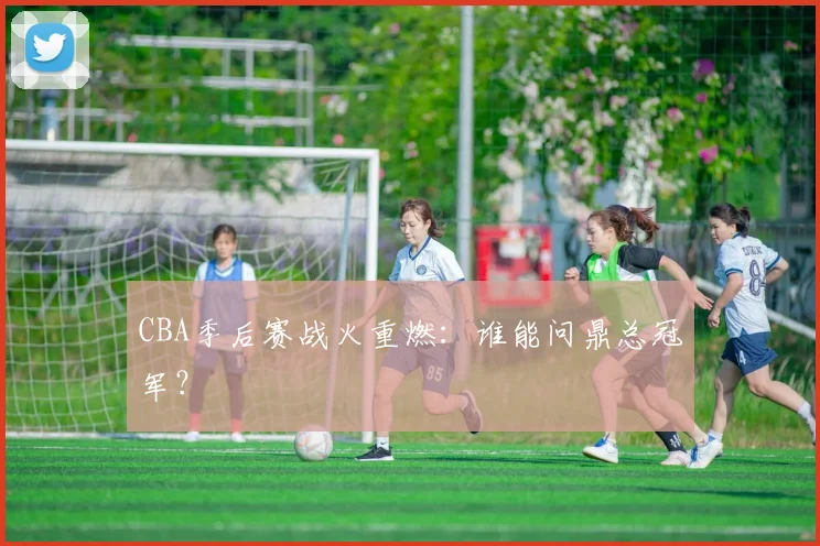 CBA季后赛战火重燃：谁能问鼎总冠军？