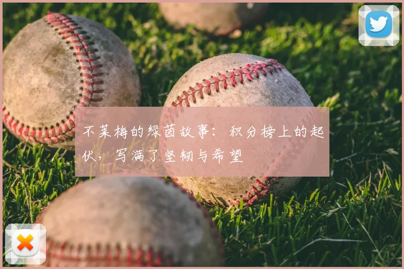 不莱梅的绿茵故事：积分榜上的起伏，写满了坚韧与希望
