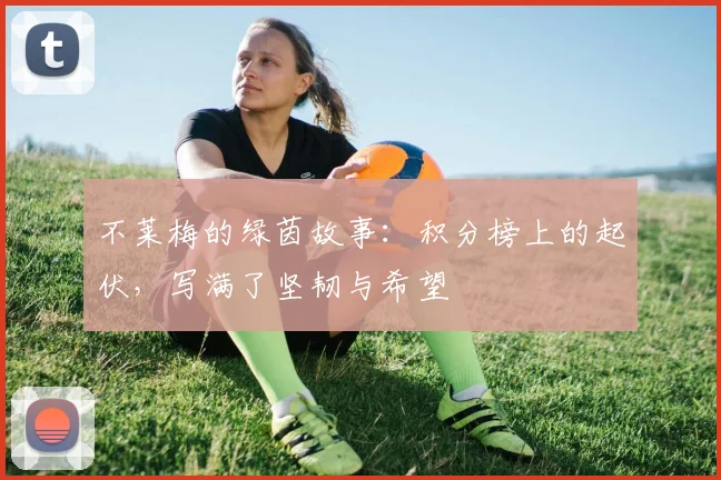 不莱梅的绿茵故事:积分榜上的起伏,写满了坚韧与希望